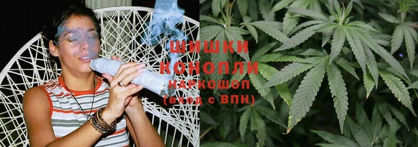 ПСИЛОЦИБИНОВЫЕ ГРИБЫ Алексеевка