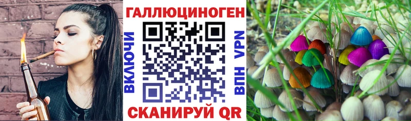 Псилоцибиновые грибы прущие грибы Ачинск