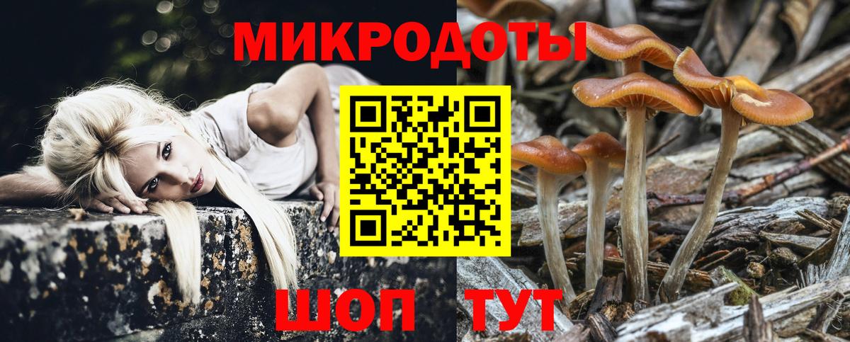 Галлюциногенные грибы мухоморы Ачинск