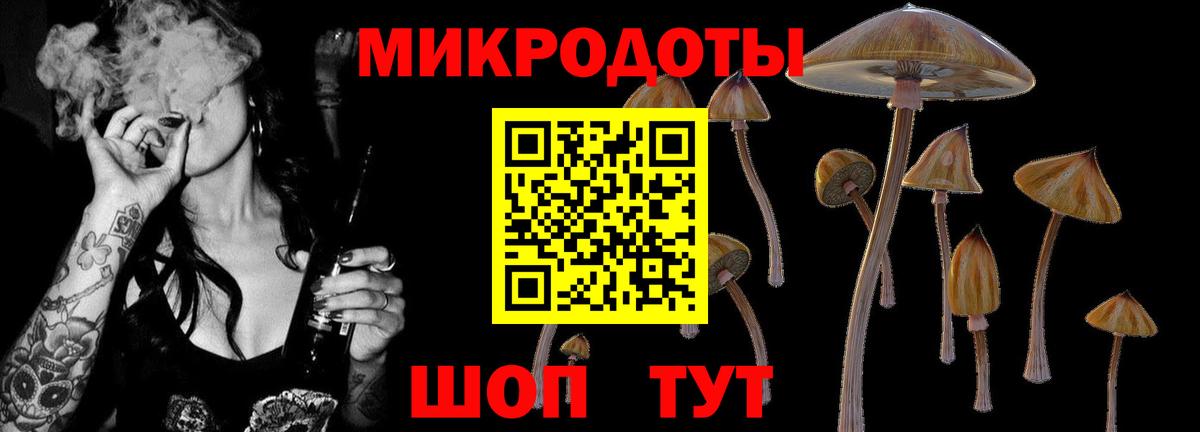 Псилоцибиновые грибы Psilocybe  где купить наркоту  Ачинск  Вход с VPN 